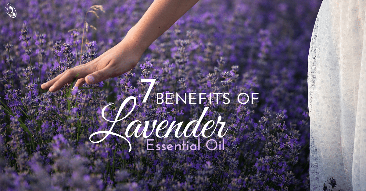 7 Benefits Of Lavender Essential Oil