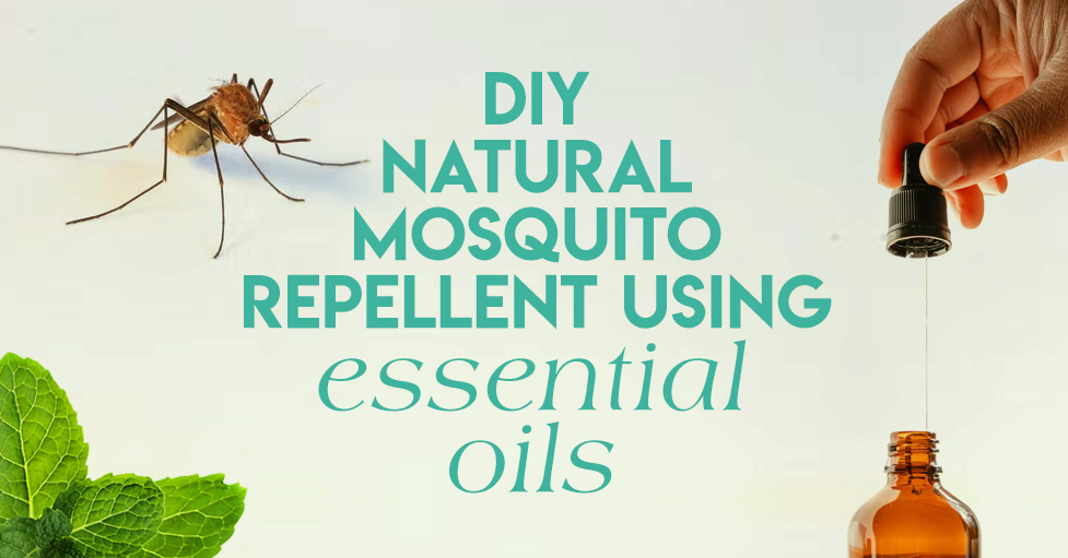 DIY Natural Mosquito Repellent