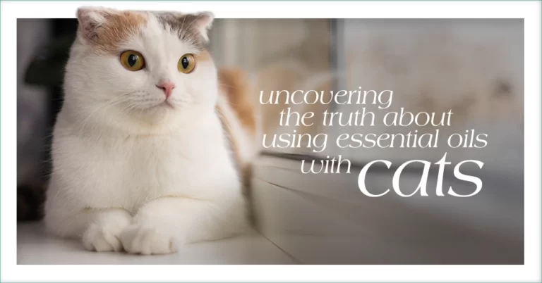 Uncovering The Truth About Using Essential Oils With Cats Featured Image