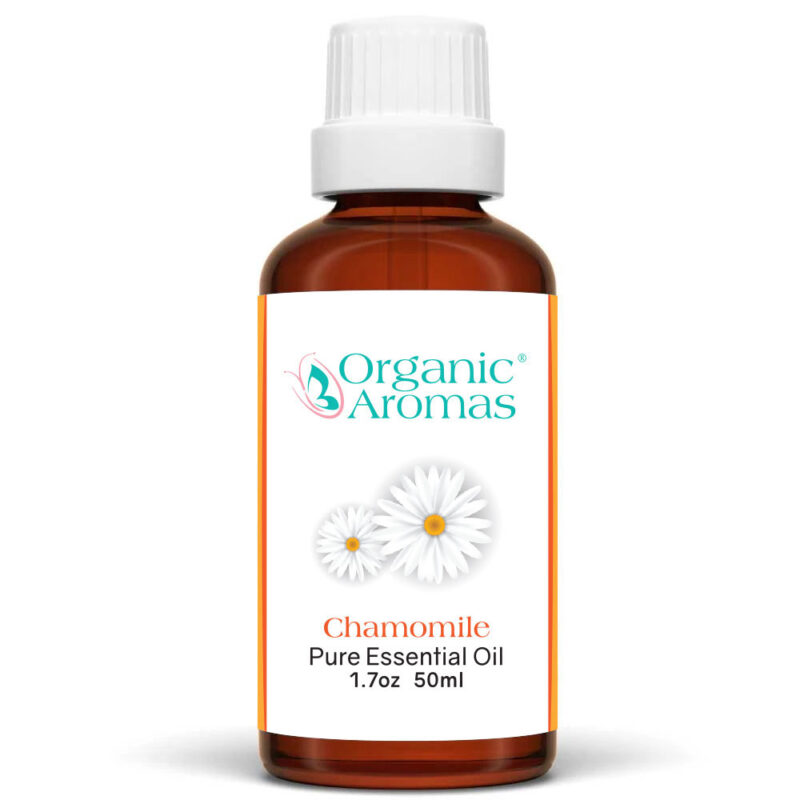 Chamomile Pure Essential Oil 50ml Bottle Chamomile Pure Essential Oil 50ml Bottle