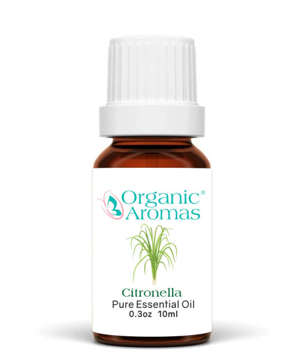 Citronella Essential Oil 10ml