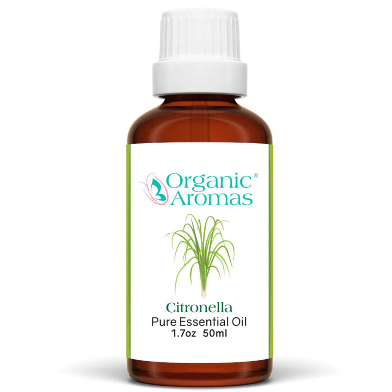 Citronella Essential Oil 50ml Citronella Essential Oil 50ml