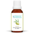 Elemi Pure Essential Oil 30ml