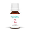 Passion Blend - 100% Pure Essential Oil