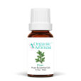 Pine Pure Essential Oil 10ml