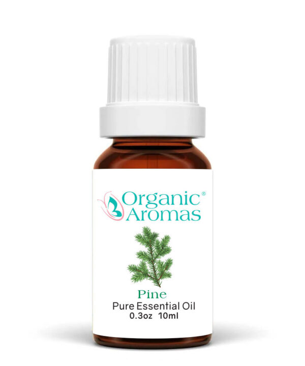 Pine Pure Essential Oil 10ml