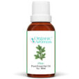 Pine Pure Essential Oil 30ml