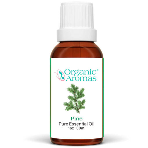 Pine Pure Essential Oil 30ml