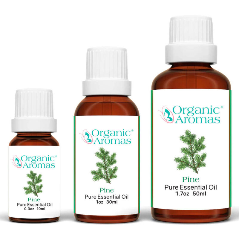 Pine Pure Essential Oil 10ml 30ml 50ml Pine Pure Essential Oil 10ml 30ml 50ml