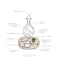 Diagram of the Nebulizing Diffuser Radiance