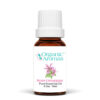 Rose Geranium Pure Essential Oil 10ml