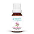 Rose Geranium Pure Essential Oil 10ml