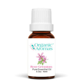 Rose Geranium Pure Essential Oil 10ml