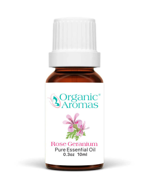 Rose Geranium Pure Essential Oil 10ml