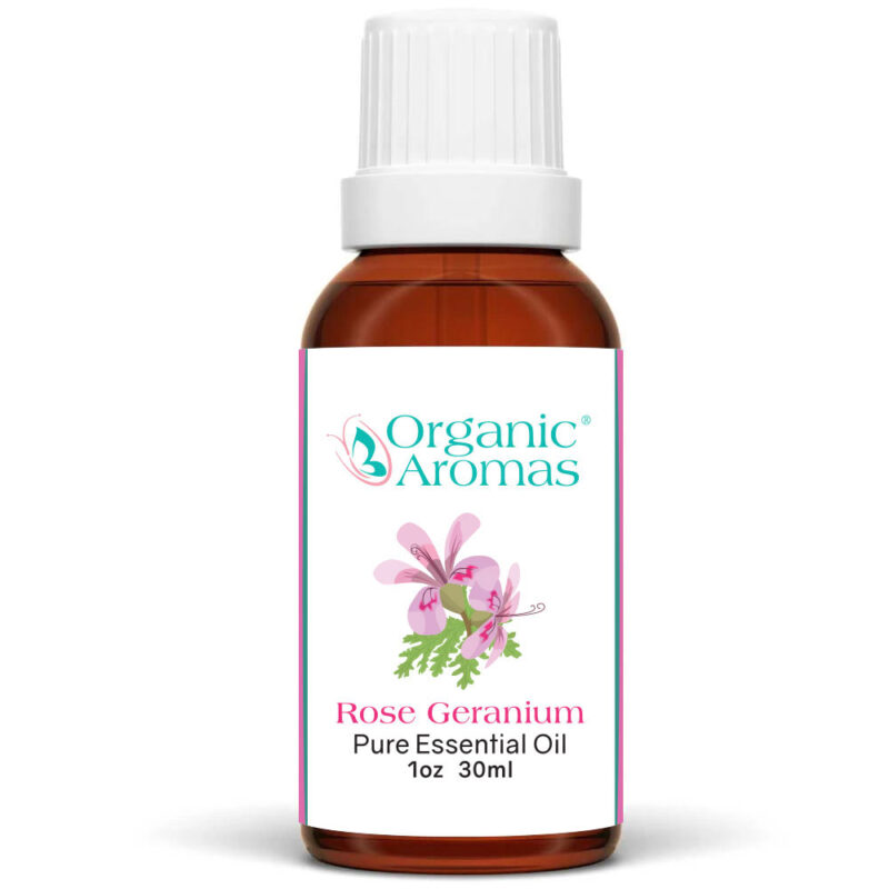 Rose Geranium Pure Essential Oil 30ml Rose Geranium Pure Essential Oil 30ml