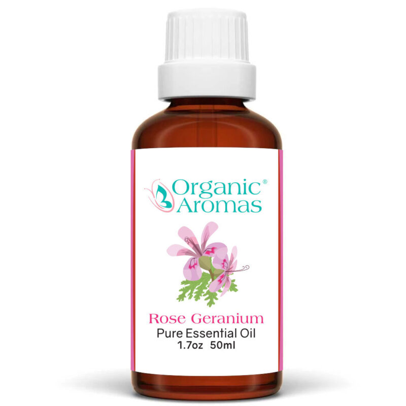 Rose Geranium Pure Essential Oil 50ml Rose Geranium Pure Essential Oil 50ml