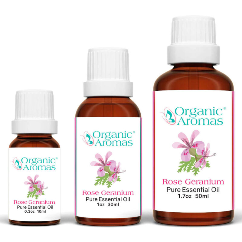 Rose Geranium Pure Essential Oil 10ml 30ml 50ml Rose Geranium Pure Essential Oil 10ml 30ml 50ml