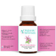 Rose Geranium Essential Oil Open Label