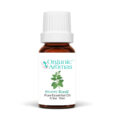 Sweet Basil Pure Essential Oil 10ml