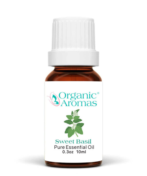 Sweet Basil Pure Essential Oil 10ml