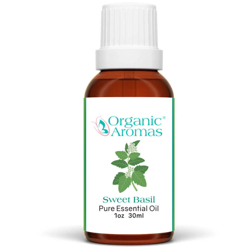 Sweet Basil Pure Essential Oil 30ml Sweet Basil Pure Essential Oil 30ml