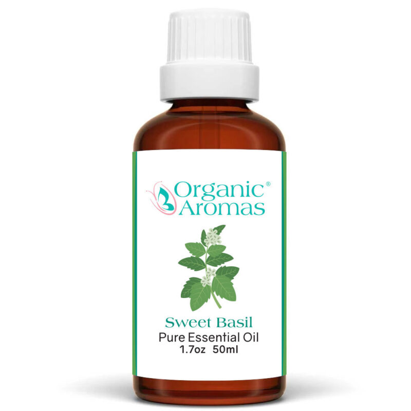 Sweet Basil Pure Essential Oil 50ml Sweet Basil Pure Essential Oil 50ml