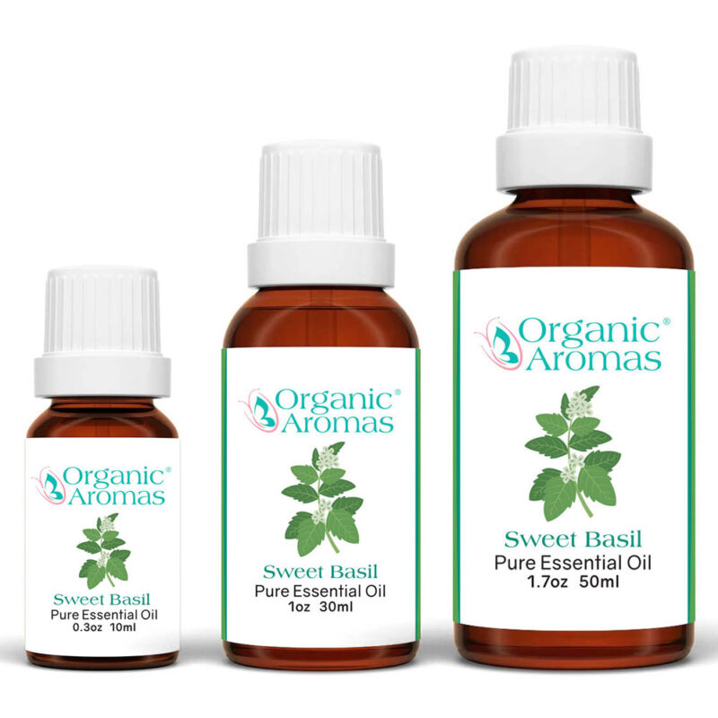 Sweet Basil Pure Essential Oil 10ml 30ml 50ml Sweet Basil Pure Essential Oil 10ml 30ml 50ml