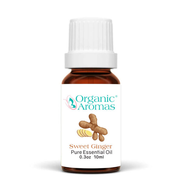 Sweet Ginger Pure Essential Oil 10ml
