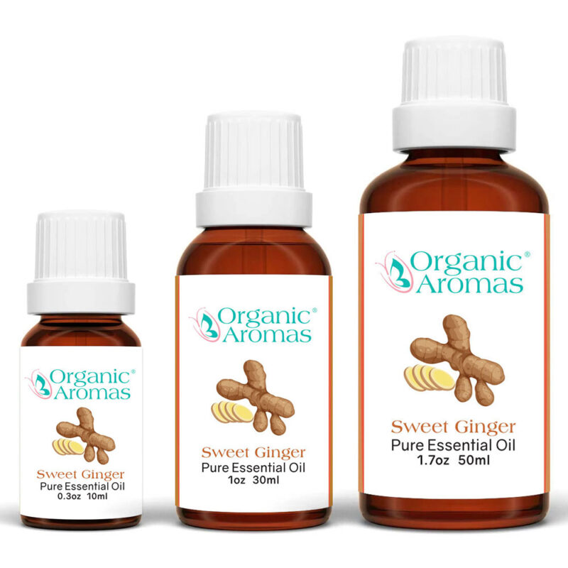 Sweet Ginger Pure Essential Oil 10ml 30ml 50ml vaSweet Ginger Pure Essential Oil 10ml 30ml 50ml