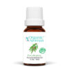 Eucalyptus Essential Oil 100% Pure Organic