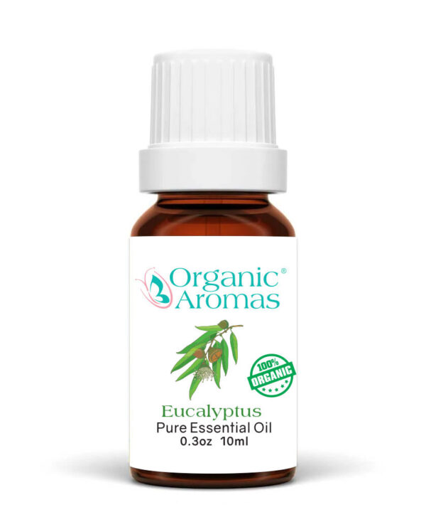 Eucalyptus Pure Essential Oil Organic 10ml