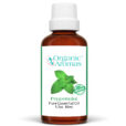 Peppermint Pure Essential Oil 10ml Organic