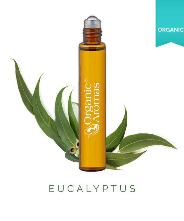 Eucalyptus Roll-on Essential Oil