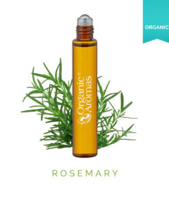 Rosemary Roll-on Essential Oil Organic