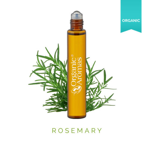 Rosemary Roll-on Essential Oil Organic