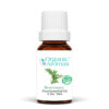 Rosemary Essential Oil 100% Pure Organic