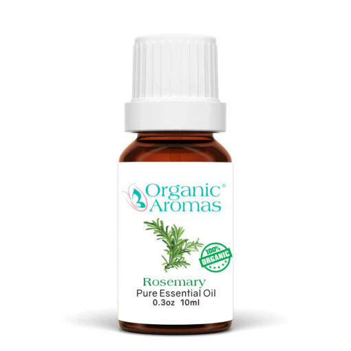 Rosemary Pure Essential Oil 10ml Organic