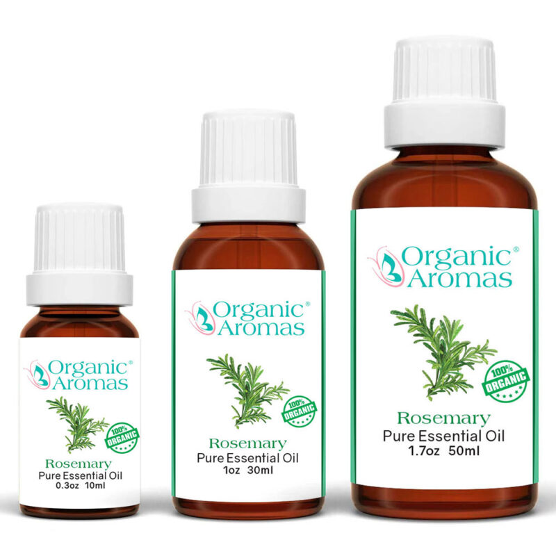 Rosemary Pure Essential Oil 3 Bottles Rosemary Pure Essential Oil 3 Bottles