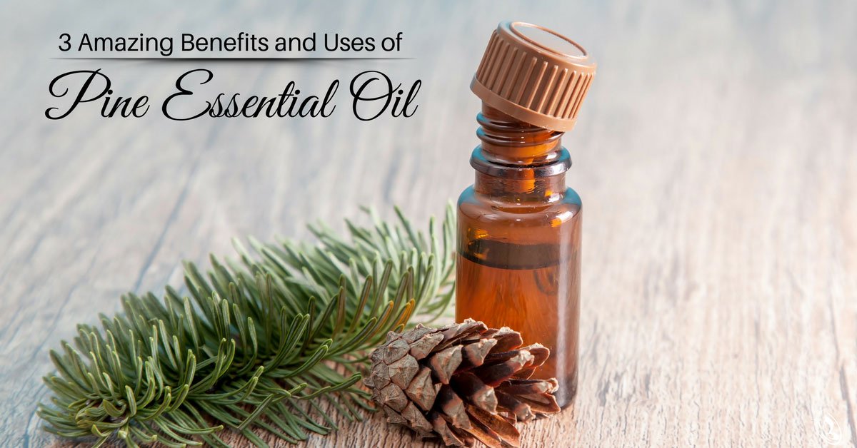 3 Amazing Benefits and Uses of Pine Essential Oil