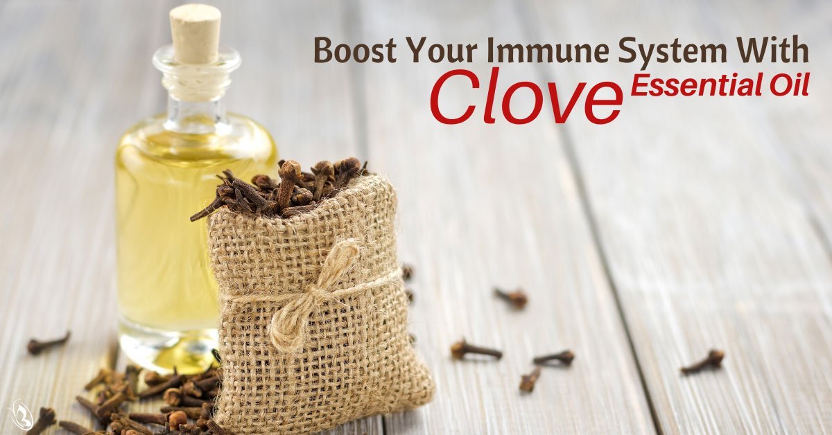 Boost Your Immune System With Clove Essential Oil