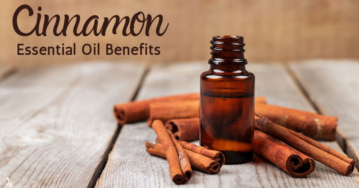Cinnamon Essential Oil Benefits - Organic Aromas®