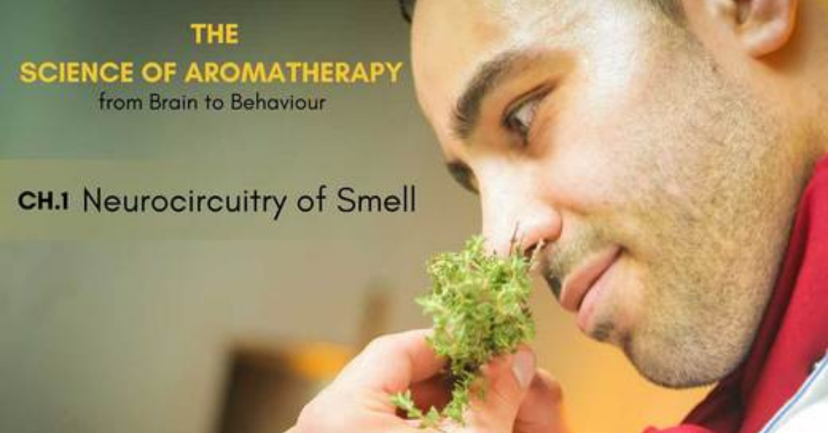 The Science of Aromatherapy from Brain to Behaviour Neurocircuitry of Smell