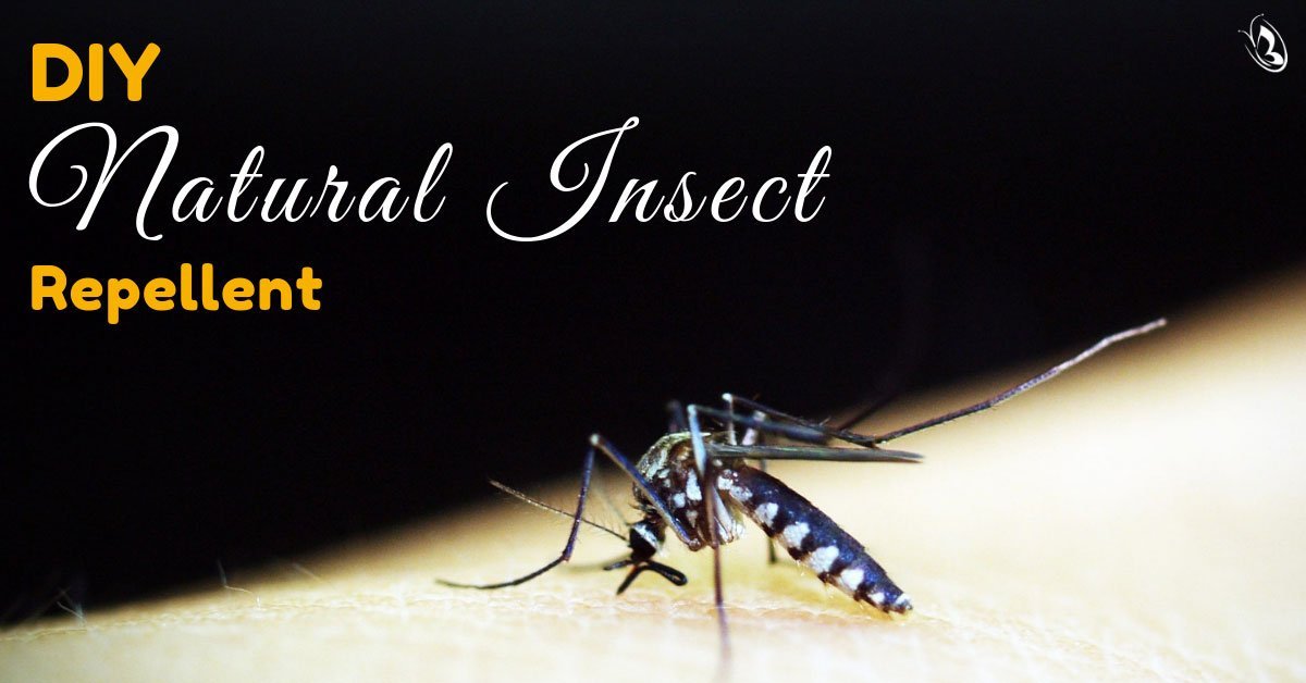 DIY Natural Insect Repellent