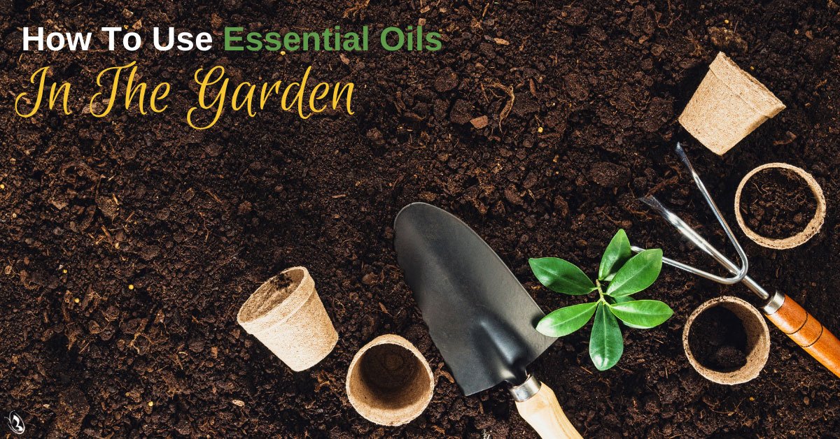 How to Use Essential Oils In the Garden