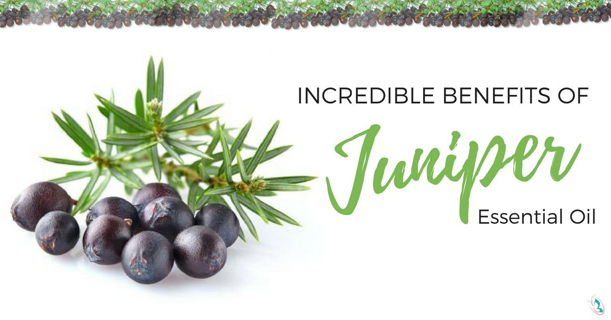 Incredible Benefits of Juniper Essential Oil