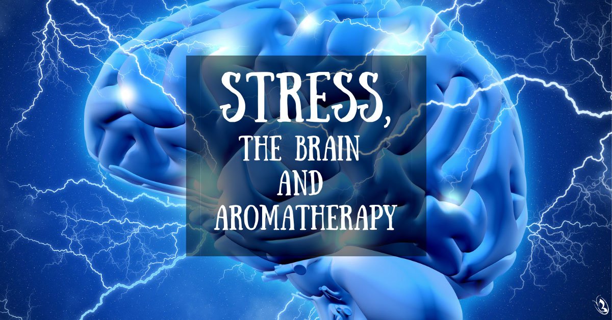 Stress, Brain and Aromatherapy