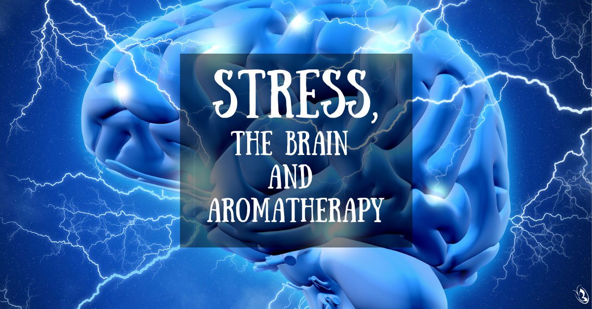 Stress, The Brain and Aromatherapy