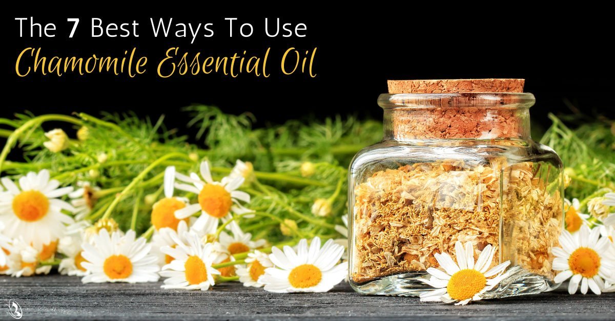 Chamomile oil deals