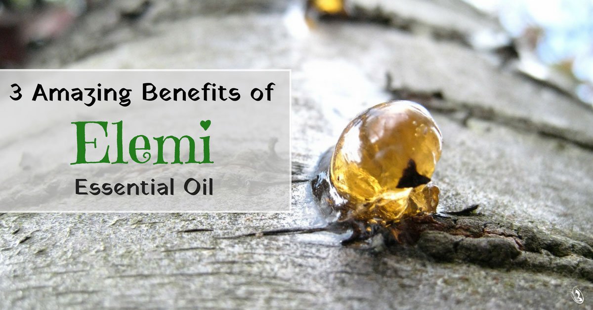 3 Amazing Benefits of Elemi Essential Oil