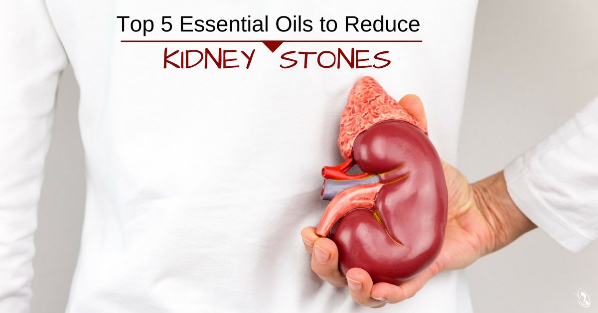 Top 5 Essential Oils to Reduce Kidney Stones Organic Aromas®